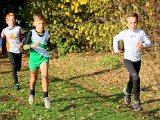 2018-11-04 Cross Diomedon - 038